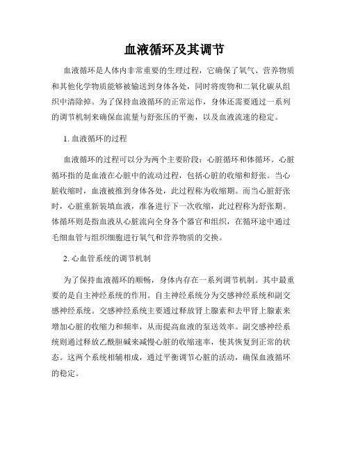 血液循环及其调节