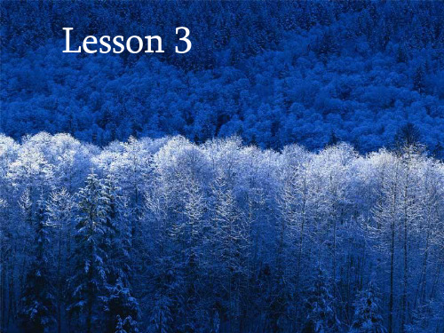 Lesson3PPT优选课件