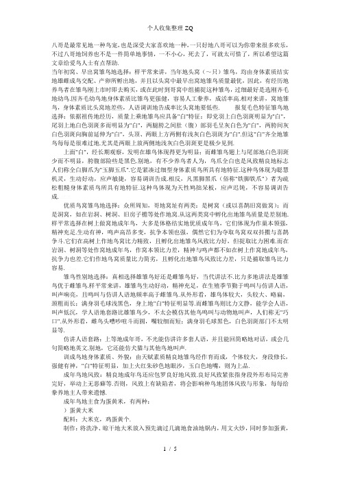 学会用心饲养自己的八哥