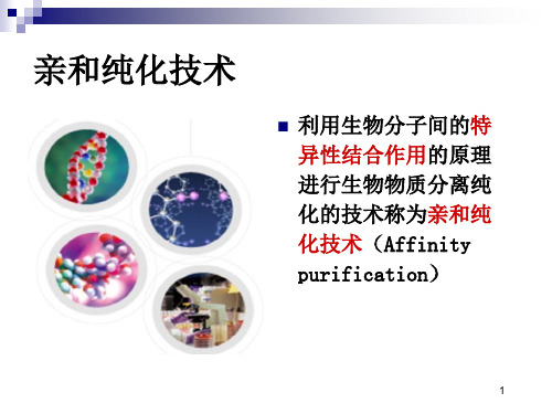 亲和纯化技术