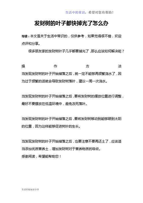 发财树的叶子都快掉光了怎么办