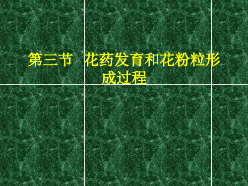 4-3 花药的发育和花粉粒的形成过程-2017