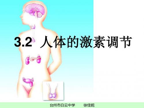台州市2016年初中科学教师课堂教学评比课件(人体的激素调节)1