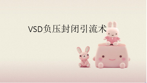 VSD负压封闭引流术