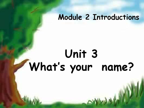 三年级上册Unit3 What's-your-name LISA录像课