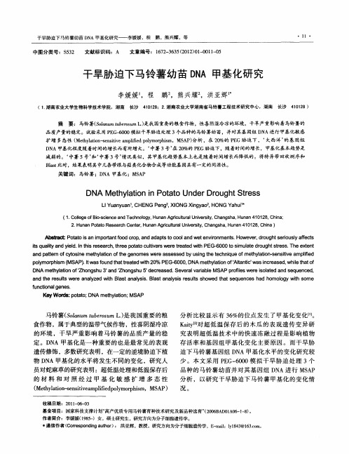 干旱胁迫下马铃薯幼苗DNA甲基化研究