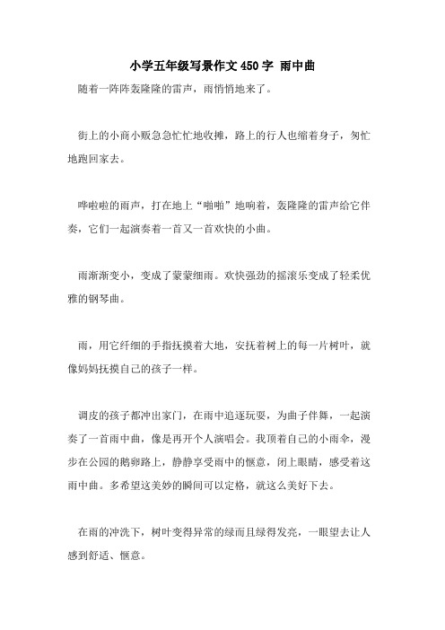 小学五年级写景作文450字 雨中曲