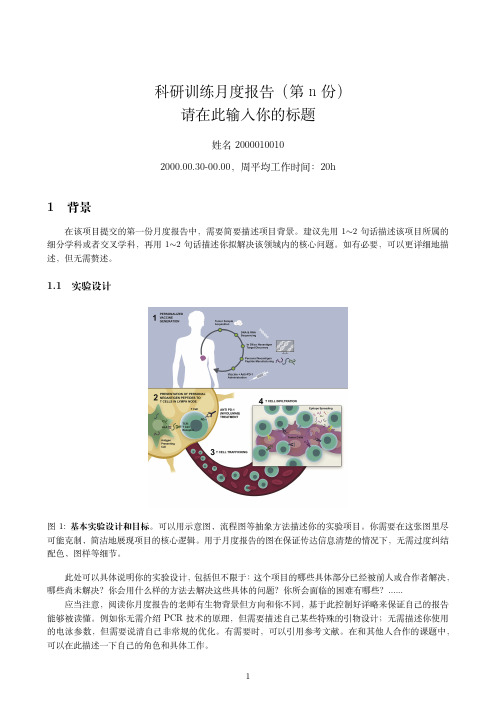 科研训练月度报告模板