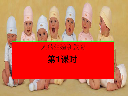 人的生殖和发育ppt5 北师大版.ppt