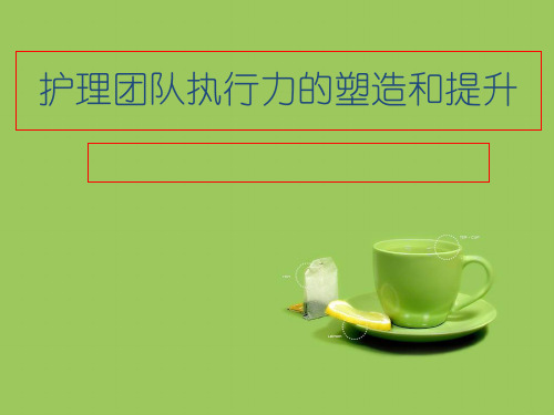 护理团队执行力的塑造和提升教材.pptx