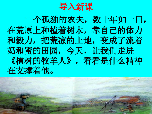 语文部编版七年级上册《植树的牧羊人》PPT