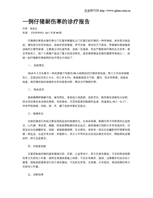 一例仔猪副伤寒的诊疗报告