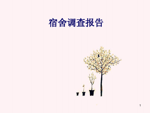 宿舍调查报告ppt课件