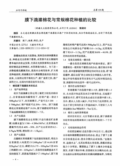 膜下滴灌棉花与常规棉花种植的比较