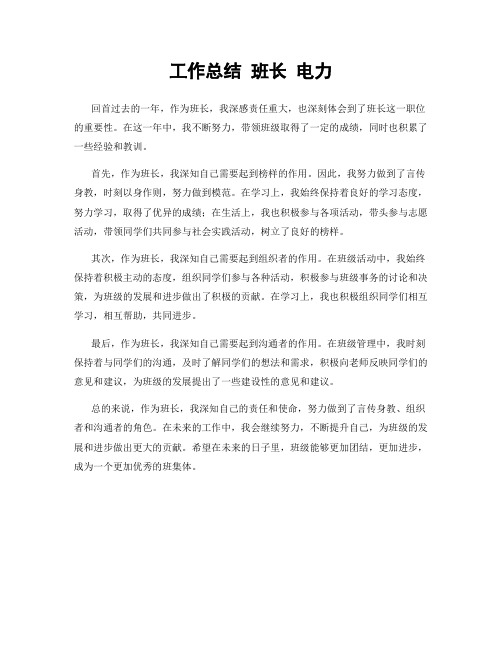 工作总结 班长 电力