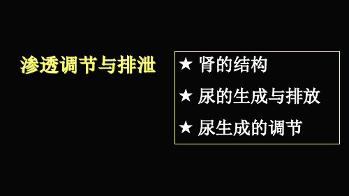 生理学课件：渗透调节与排泄