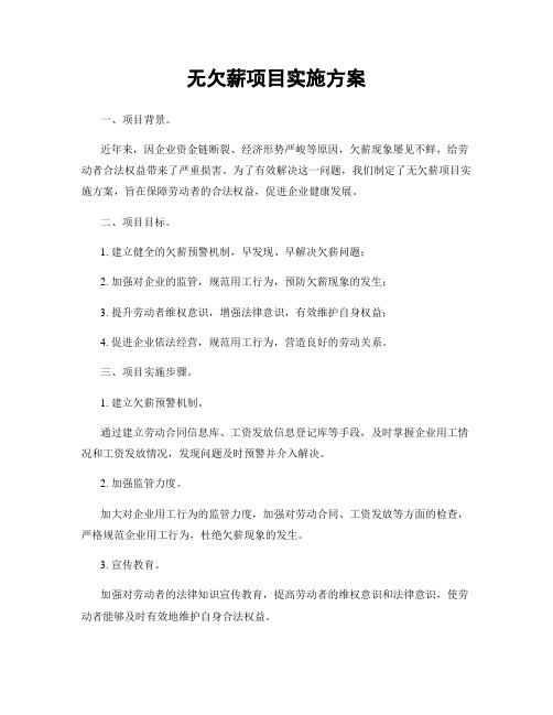 无欠薪项目实施方案