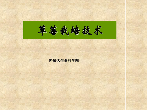 园林植物栽培学课件4草莓栽培技术