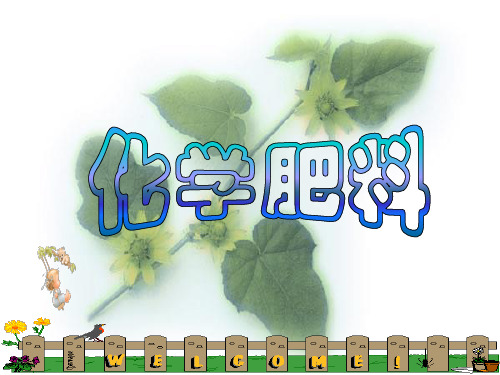 人教版化学九年级第十一单元第二节 化学肥料 (共27张PPT)