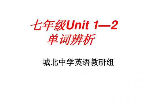 新建 中考七年级上册复习演示文稿