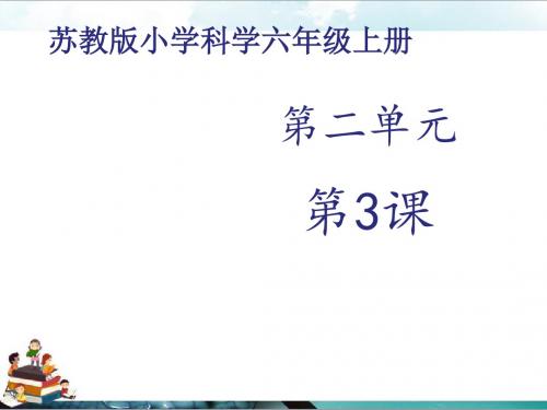 苏教版科学六年级上册课件：《地球的表面》课件——1课时(1)
