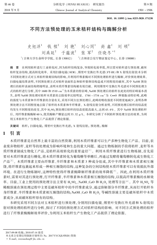 不同方法预处理的玉米秸秆结构与酶解分析