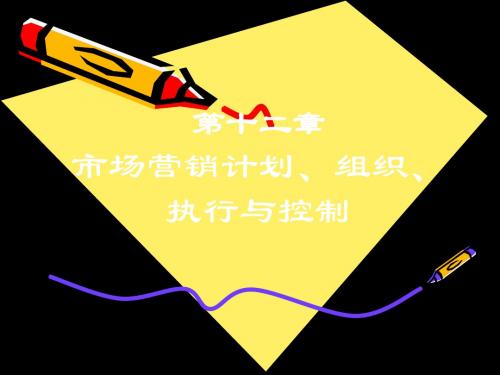 市场营销(2版)12 市场营销计划组织执行和控制 20页PPT文档