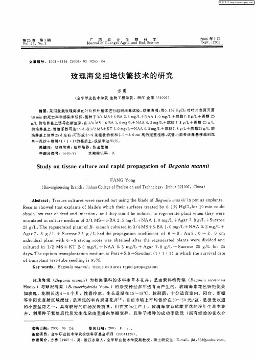 玫瑰海棠组培快繁技术的研究