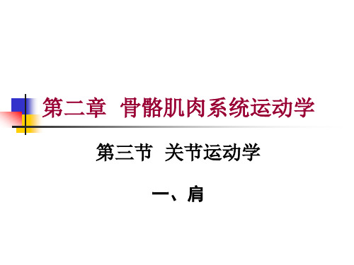 第二章第三节关节运动学(一、肩)骨骼与韧带