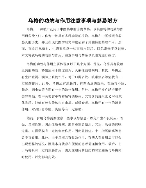 乌梅的功效与作用注意事项与禁忌附方