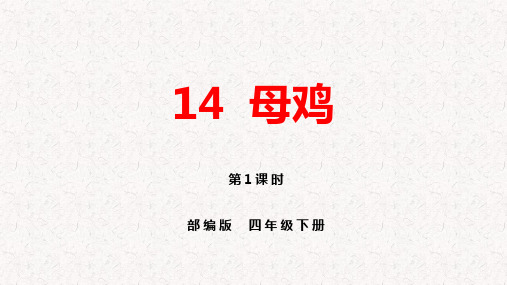 部编版四年级下册语文第14课《母鸡》PPT