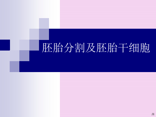 高三生物]09届高三生物胚胎分割及胚胎干细胞ppt课件