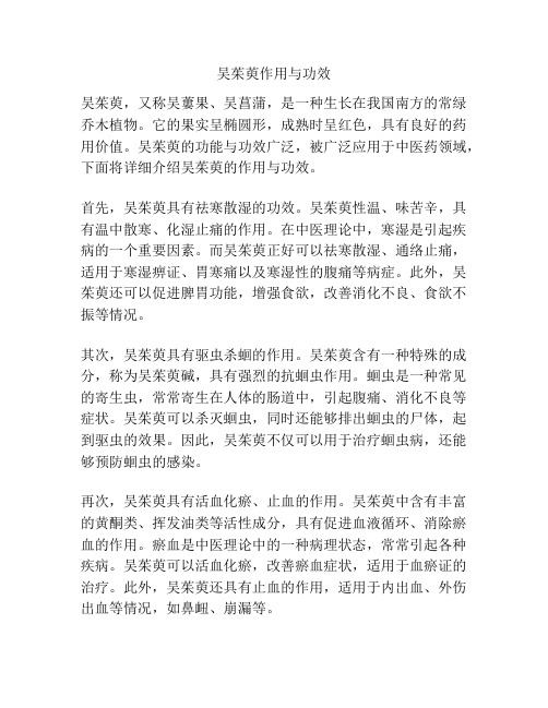 吴茱萸作用与功效