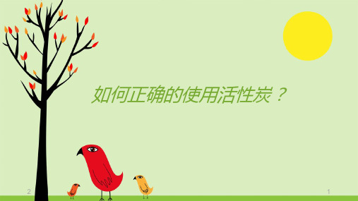 如何正确的使用活性炭PPT