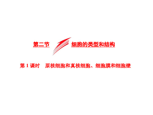 2019高中生物苏教版必修1课件：第三章 第二节 第1课时 原核细胞和真核细胞、细胞膜和细胞壁