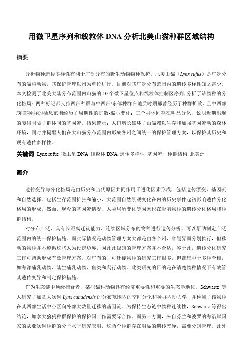 种群结构