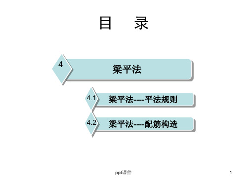 平法识图—梁  ppt课件
