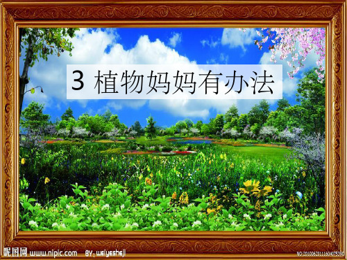 二年级语文上册植物妈妈有办法课件人教版