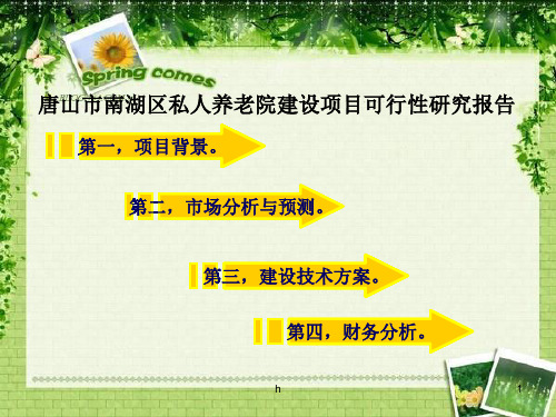唐山市南湖区私人养老院建设项目可行性研究报告