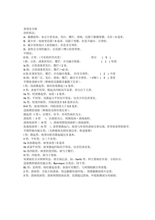 消化系统疾病内镜下分级