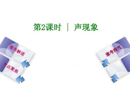 新人教版九年级物理总复习《声现象》课件