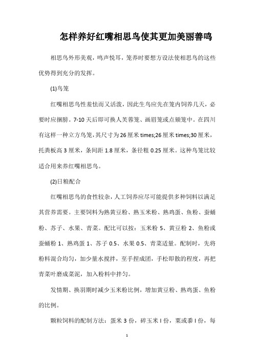 怎样养好红嘴相思鸟使其更加美丽善鸣