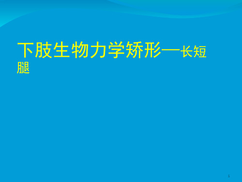 下肢生物力学足部矫形,PPT演示幻灯片