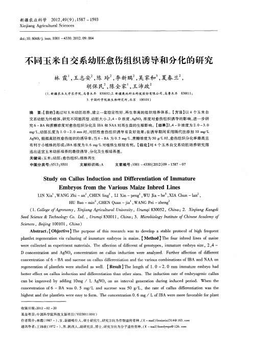 不同玉米自交系幼胚愈伤组织诱导和分化的研究