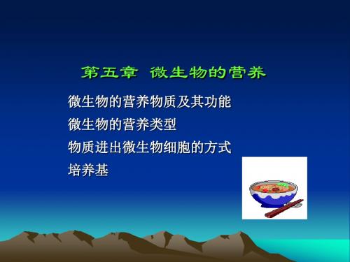 第五章微生物的营养