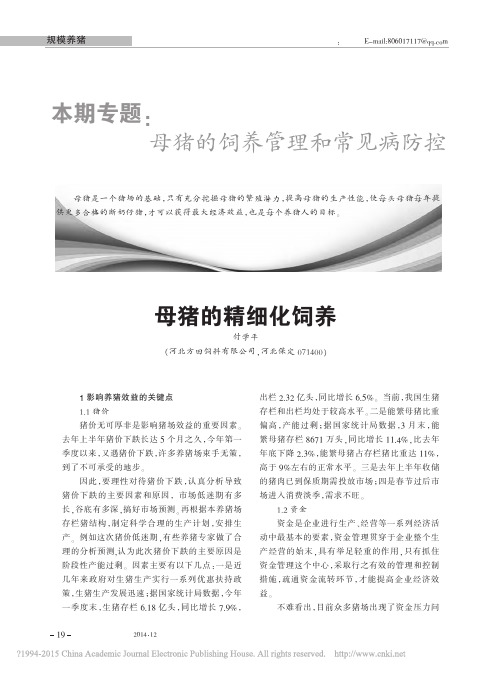 母猪的精细化饲养