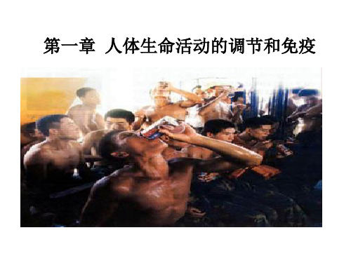 《人体的内环境与稳态》PPT课件