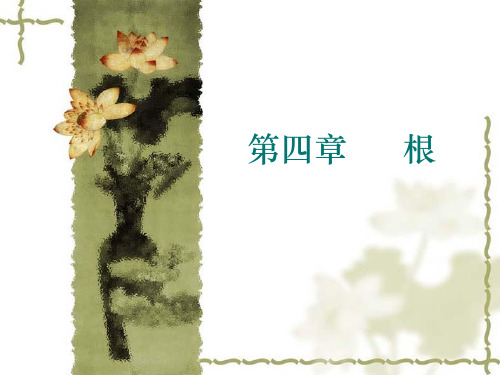 第四章  根