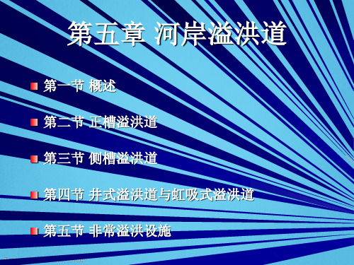 水利工程河岸溢洪道培训讲义PPT