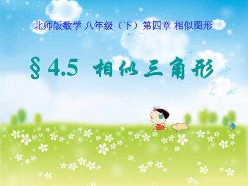 相似多边形_相似图形PPT优秀课件4